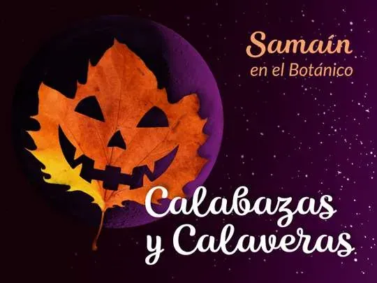 Fiesta familiar: Encuentros inquietantes